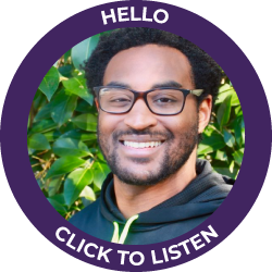 Play audio greeting